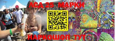 индика Моздок