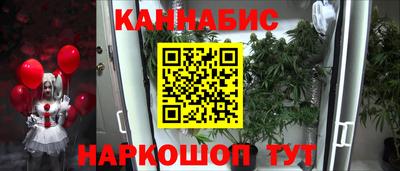 индика Моздок