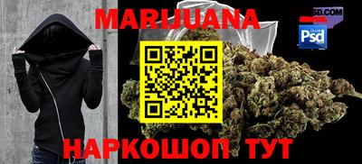 индика Моздок