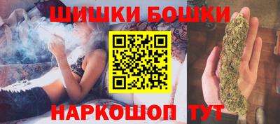 индика Моздок