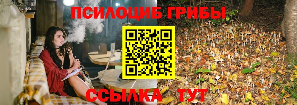 Псилоцибиновые грибы мухоморы  Вход с VPN  Фролово 
